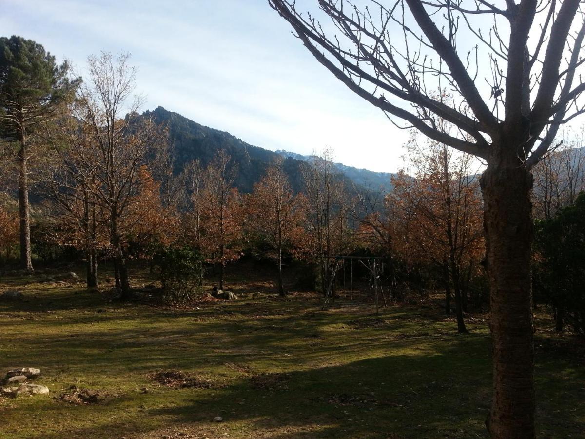 Chalet De Caralba Piscine Villa Ghisoni Kültér fotó